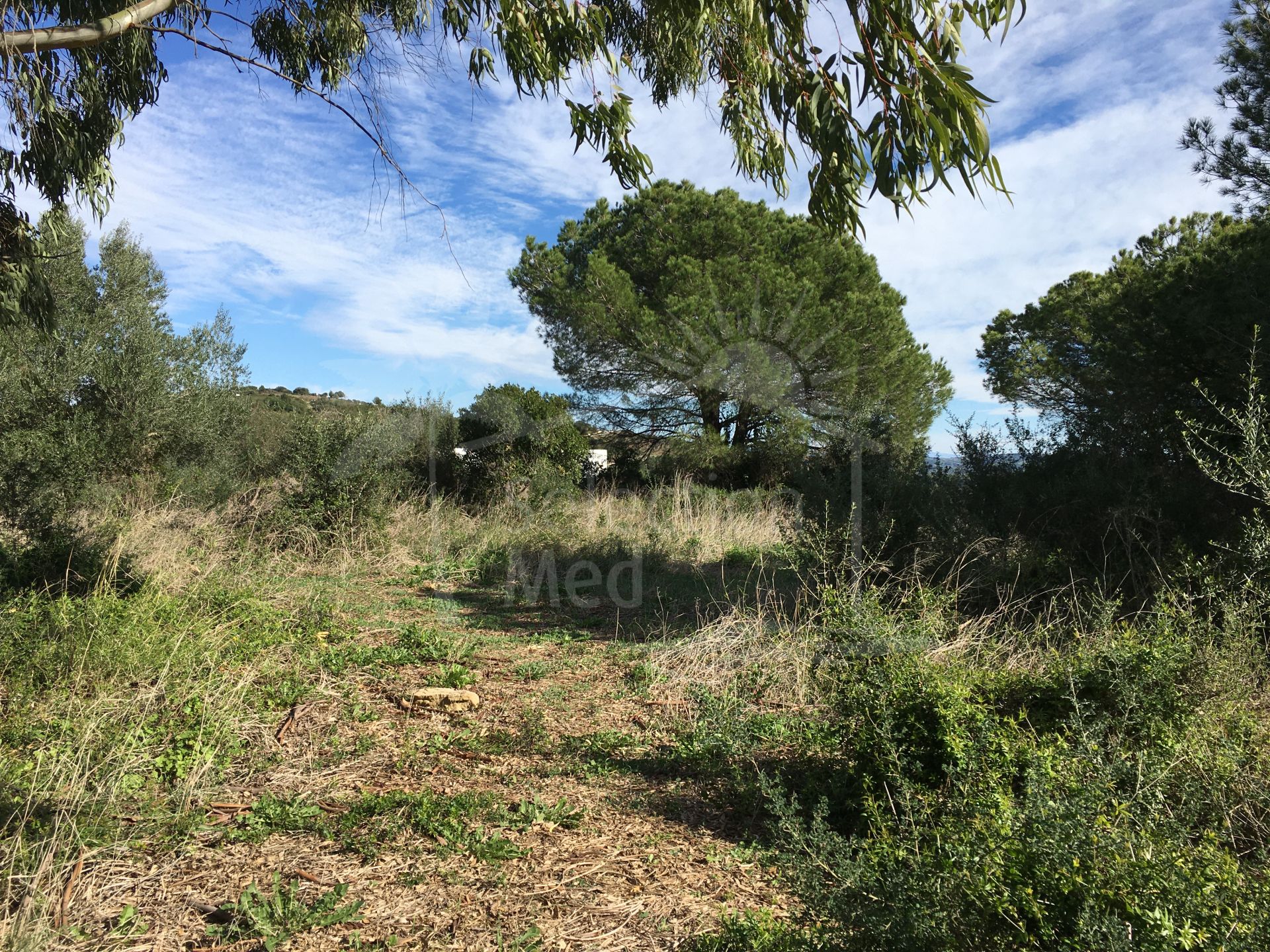 New Luxury Villa Project on Elevated Plot in La Reserva Sotogrande.