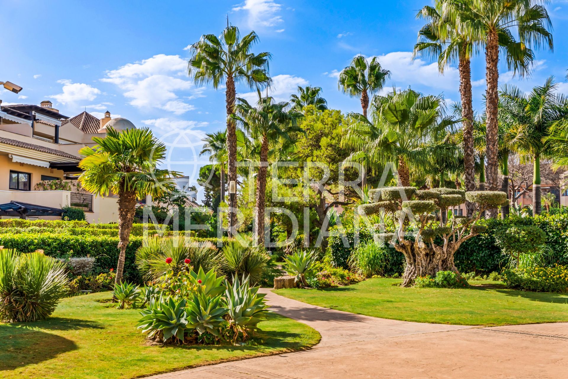 Ground Floor Apartment in Las Mimosas, Marbella