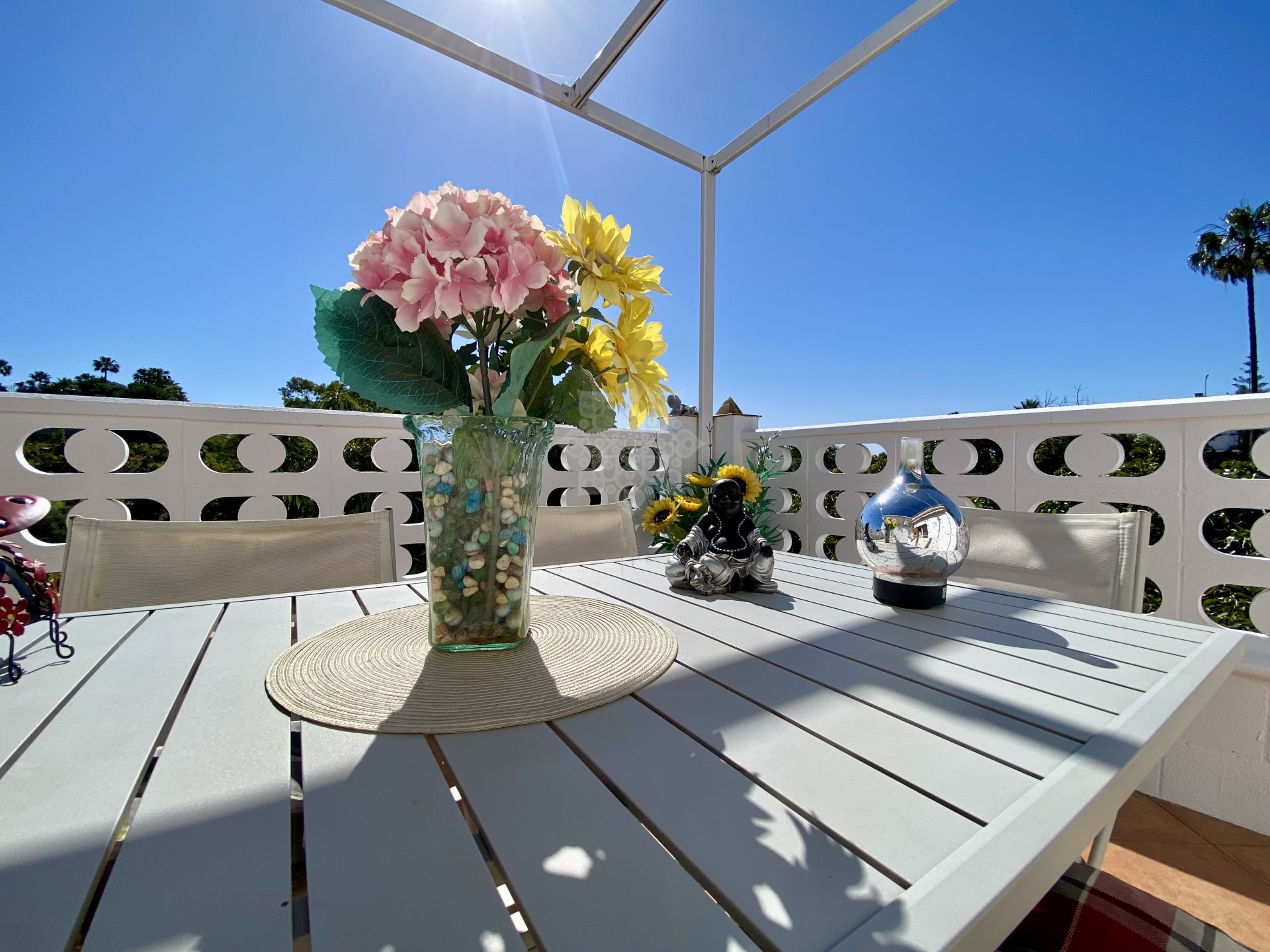 Country House in El Padron, Estepona