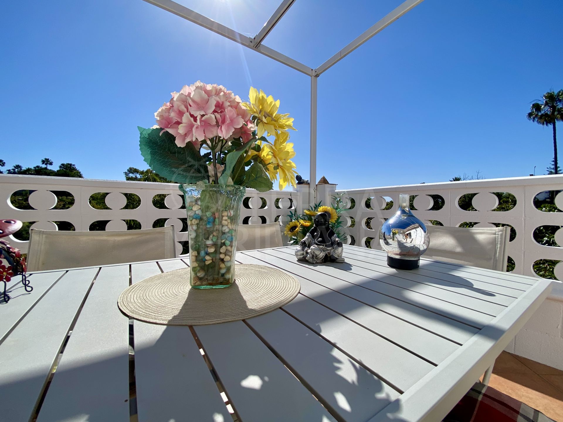 Country House in El Padron, Estepona