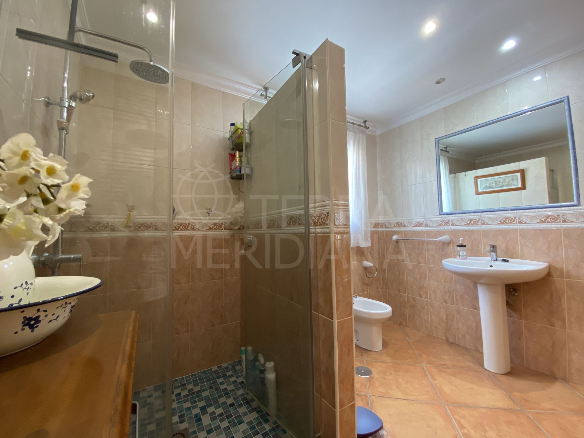 Country House in El Padron, Estepona