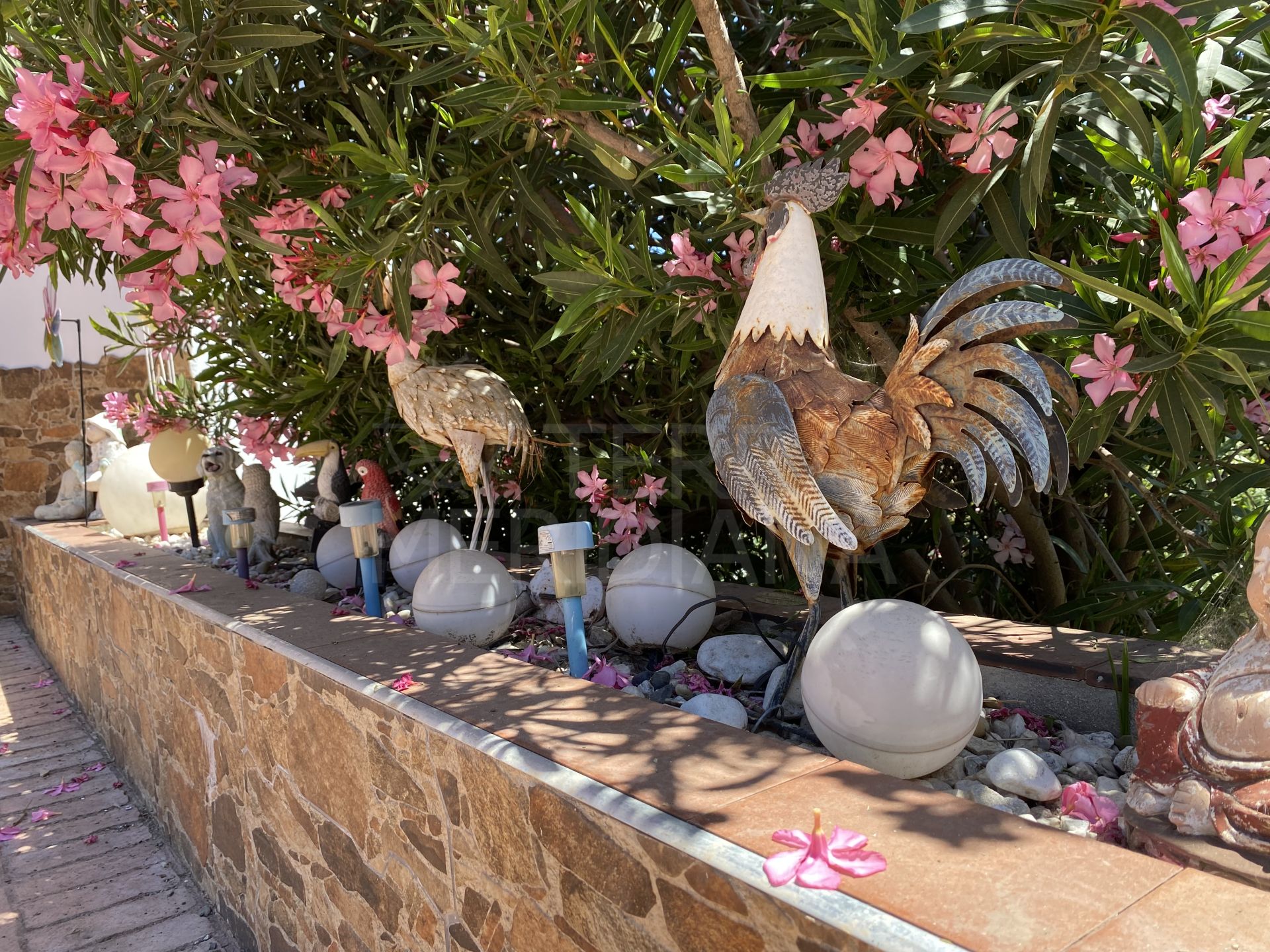 Country House in El Padron, Estepona