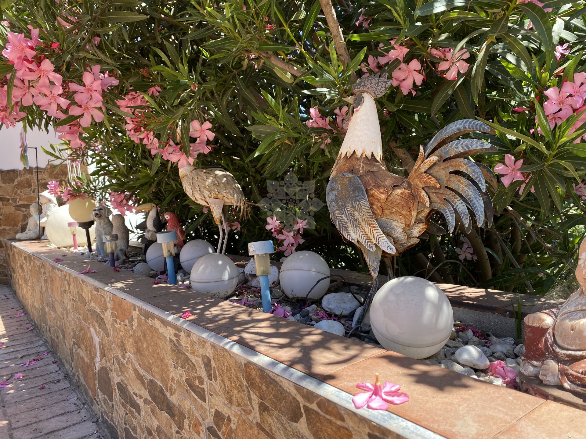 Country House in El Padron, Estepona