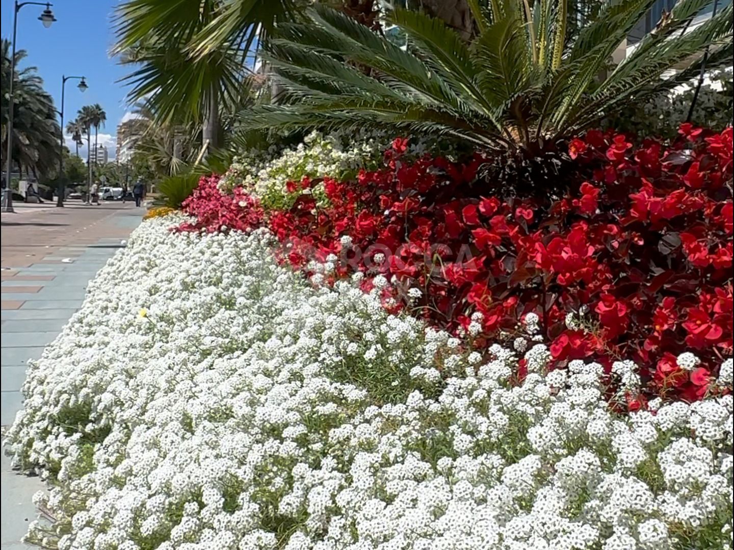 FANTASTIC 3 BEDROOM APARTMENT IN THE CENTER OF ESTEPONA