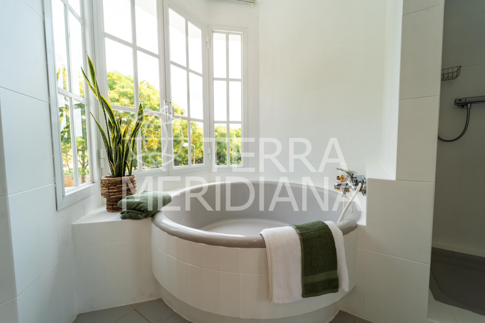 Villa in Elviria, Marbella