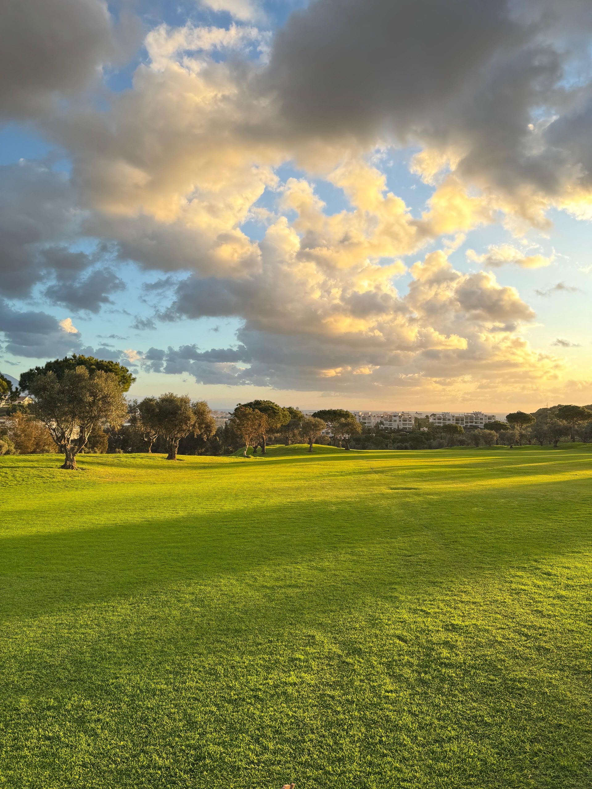 Apartment in Cerros del Aguila, Mijas Costa