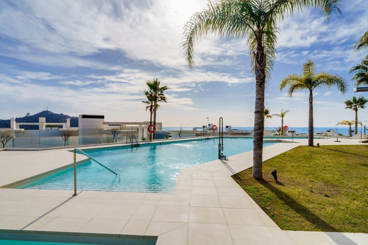 Apartment in Palo Alto, Ojen