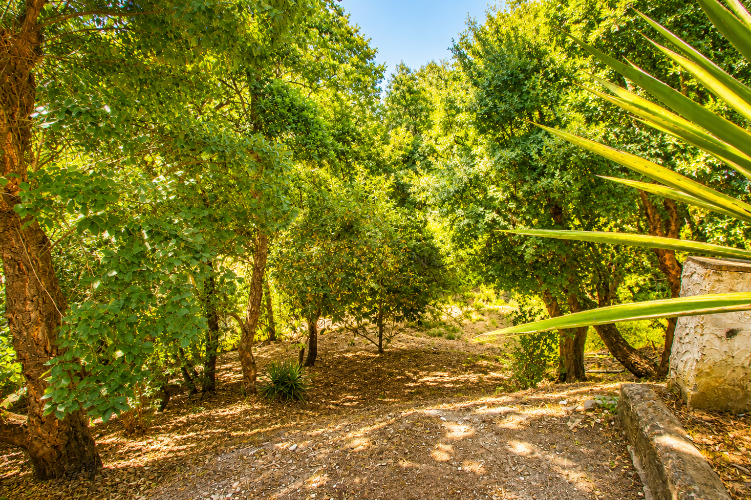 Finca en Casares