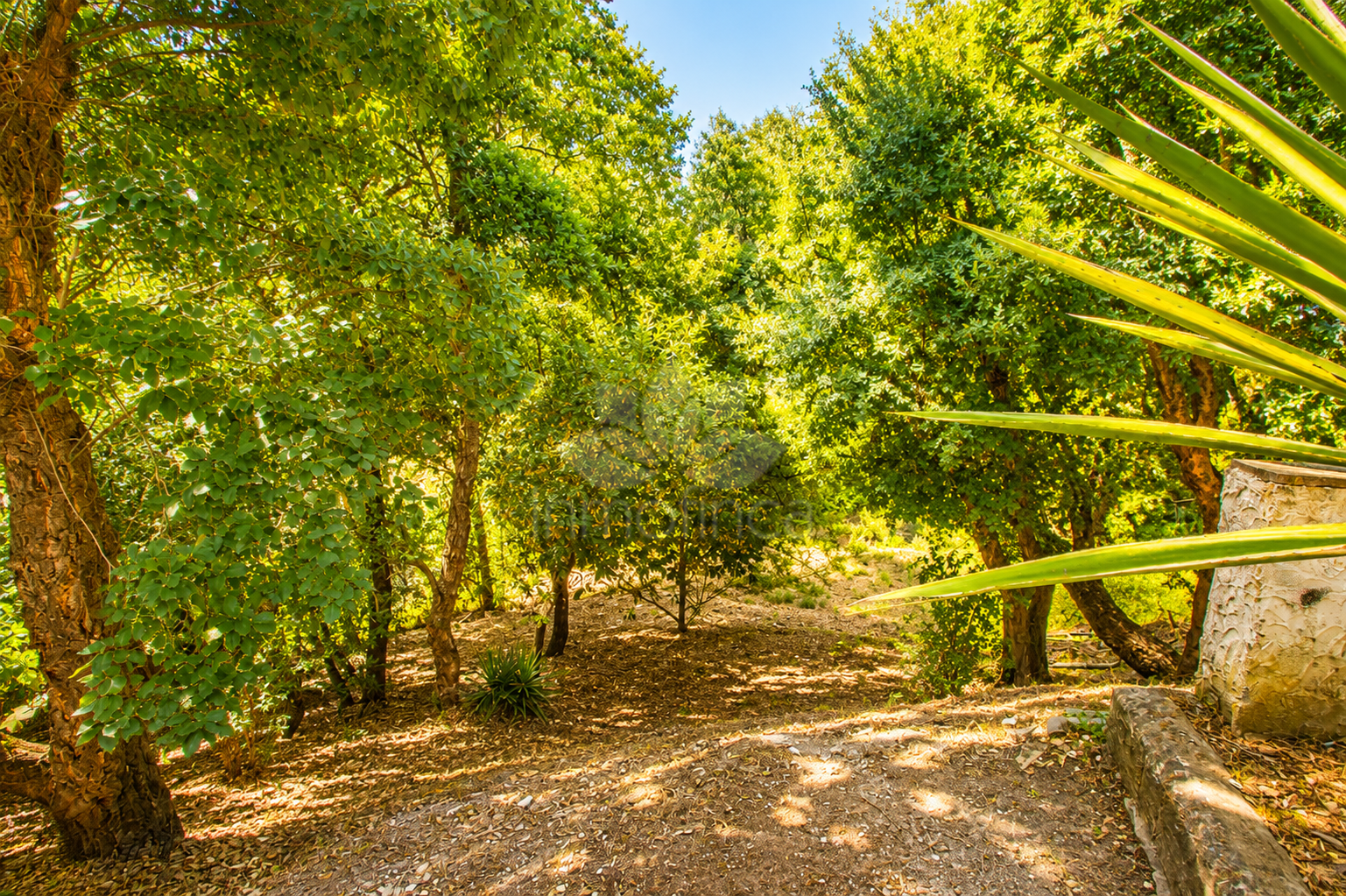 Finca in Casares