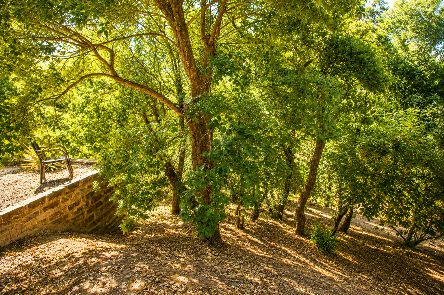 Finca en Casares