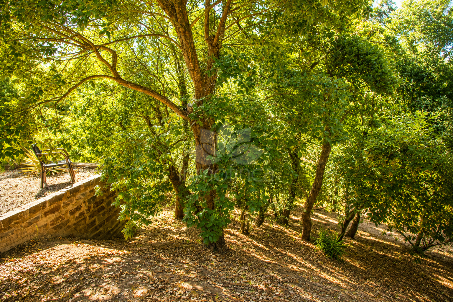 Finca in Casares