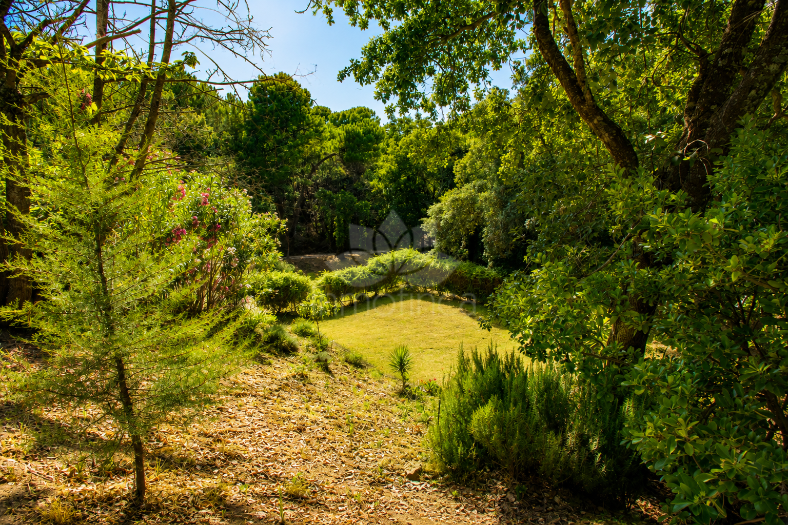 Finca in Casares