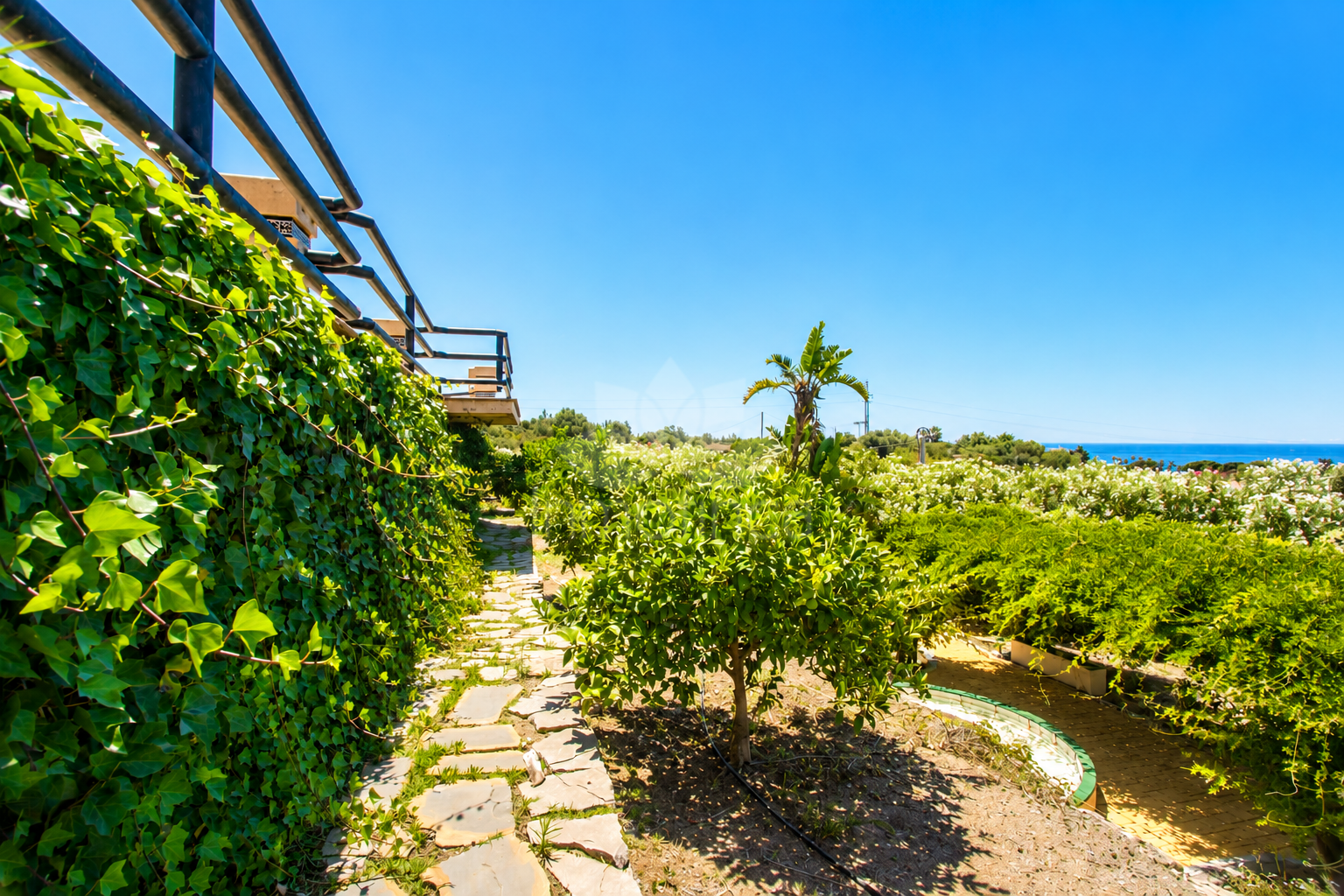 Finca in Estepona