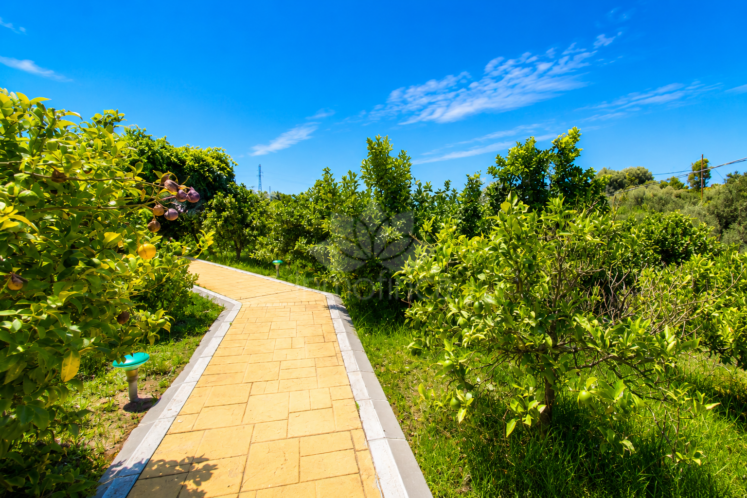 Finca in Estepona