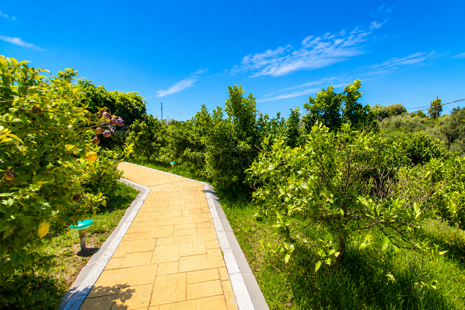 Finca in Estepona