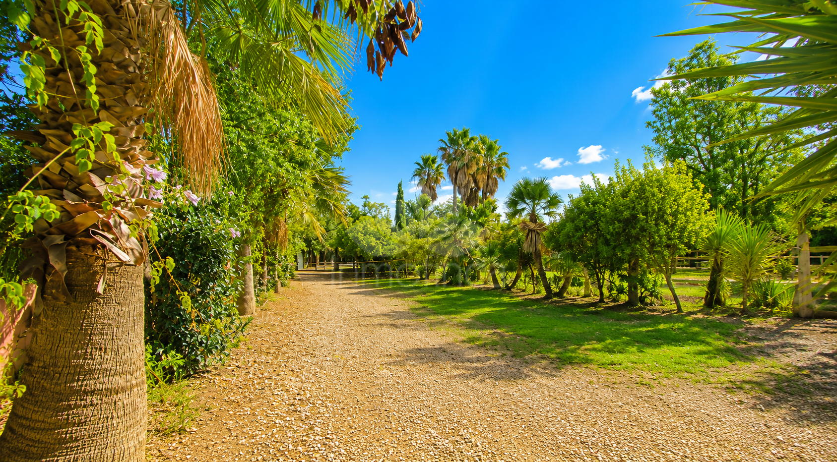 Finca in Estepona