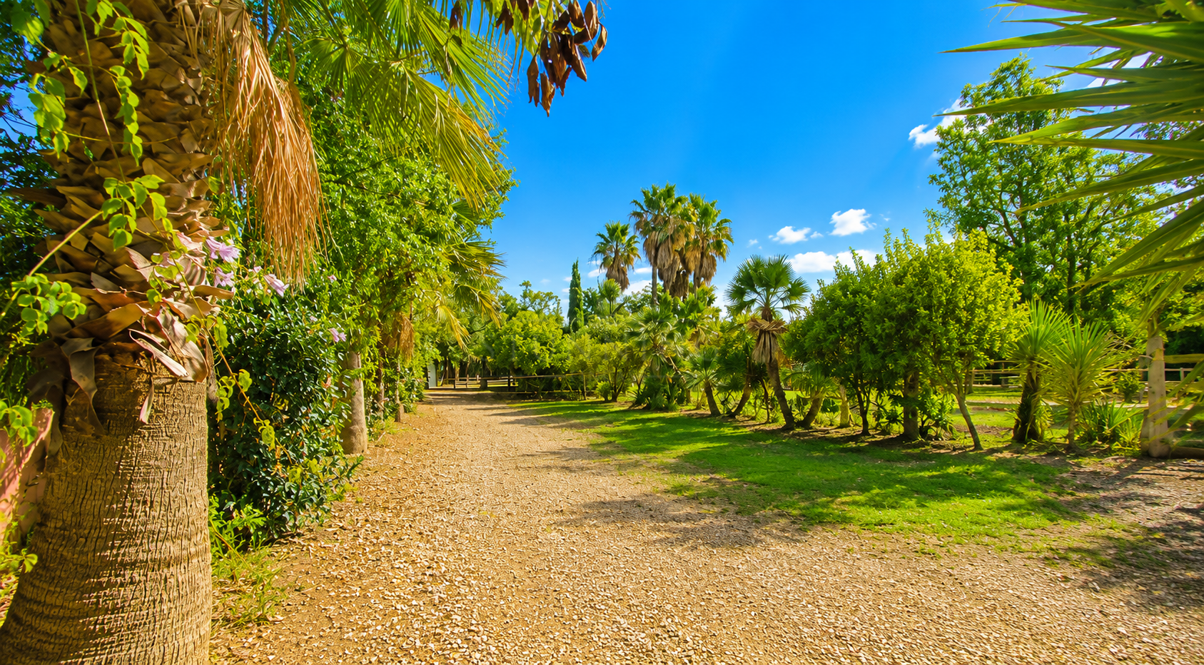 Finca in Estepona