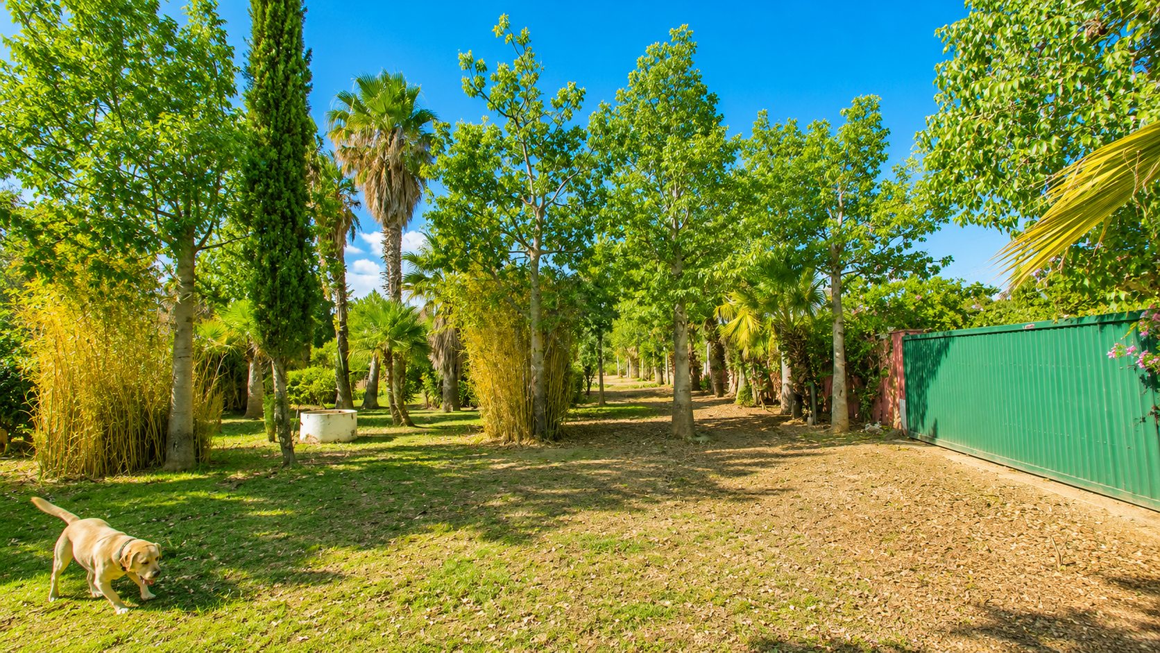 Finca in Estepona