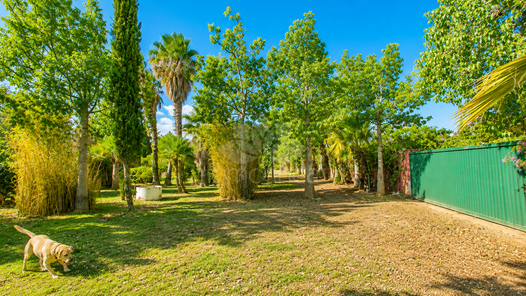 Finca in Estepona