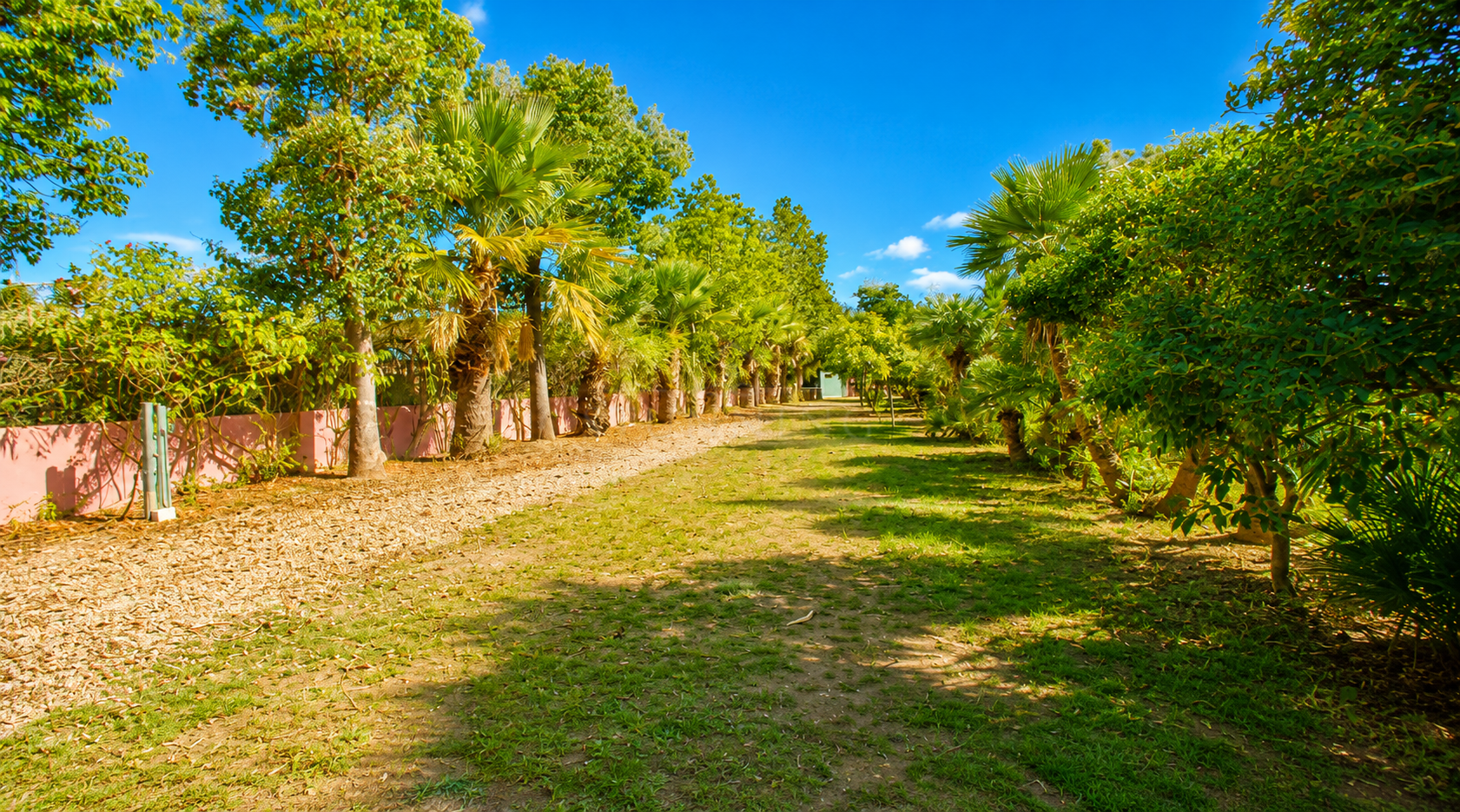 Finca in Estepona
