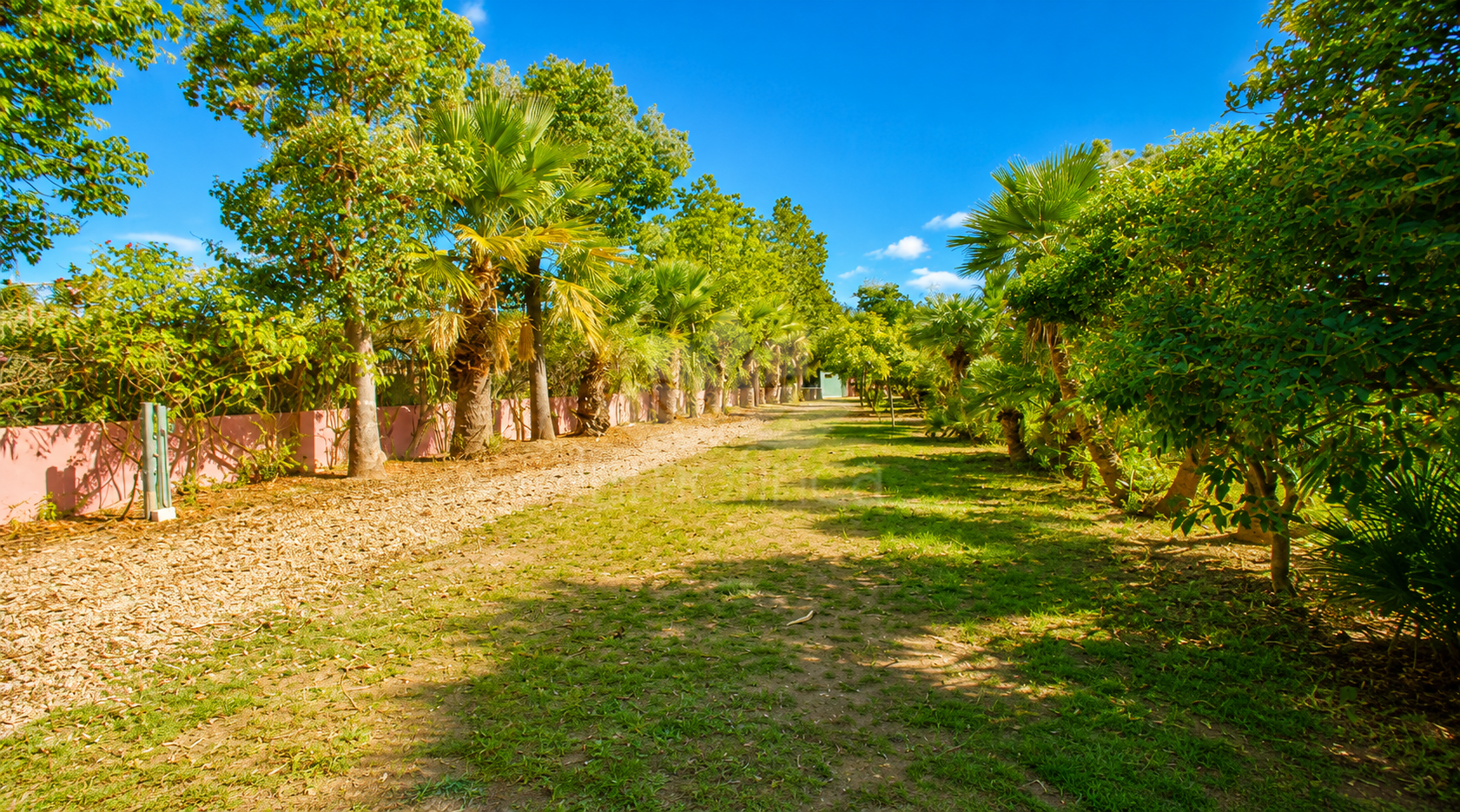 Finca in Estepona