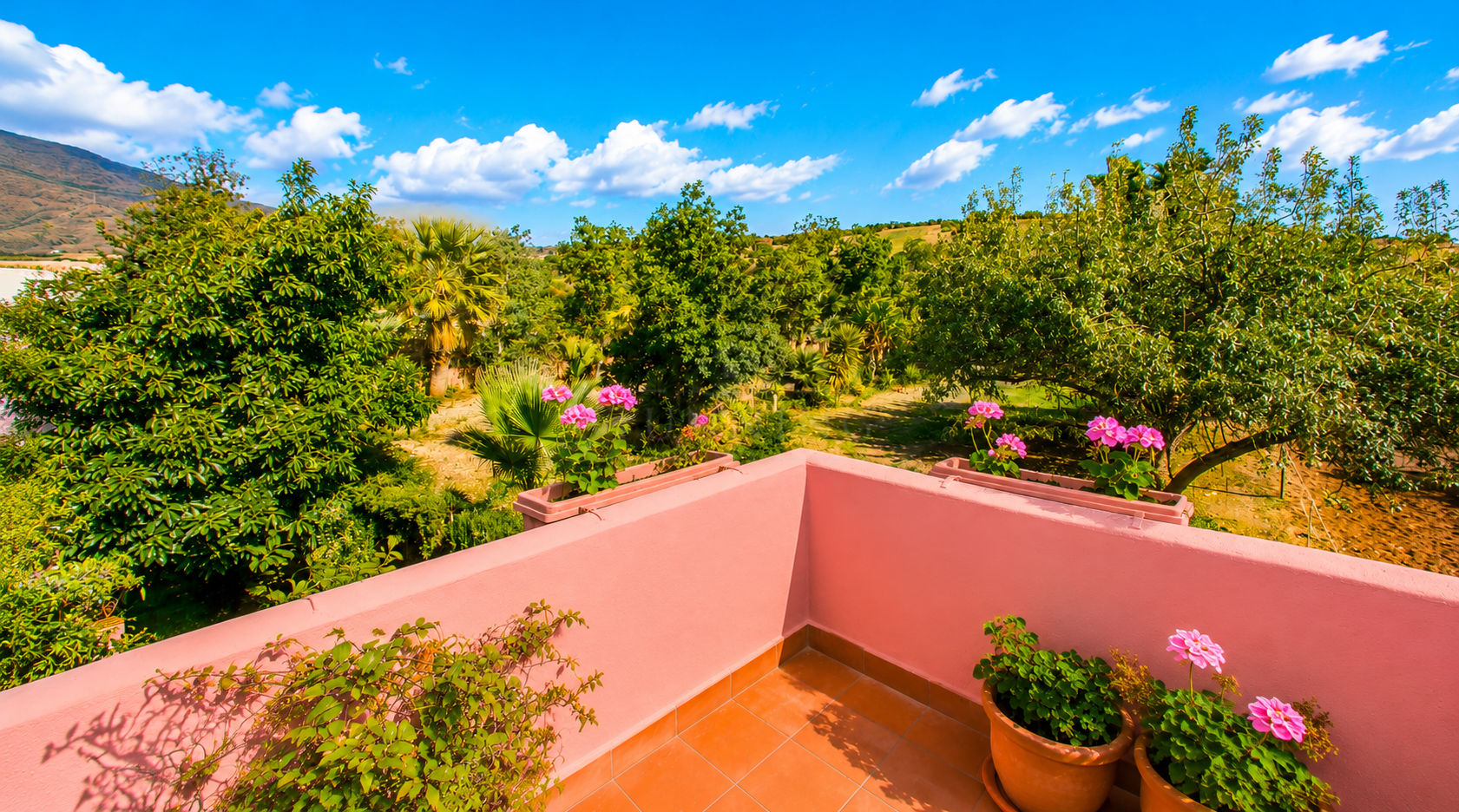 Finca in Estepona