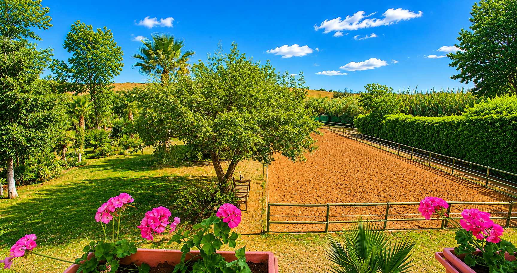 Finca in Estepona