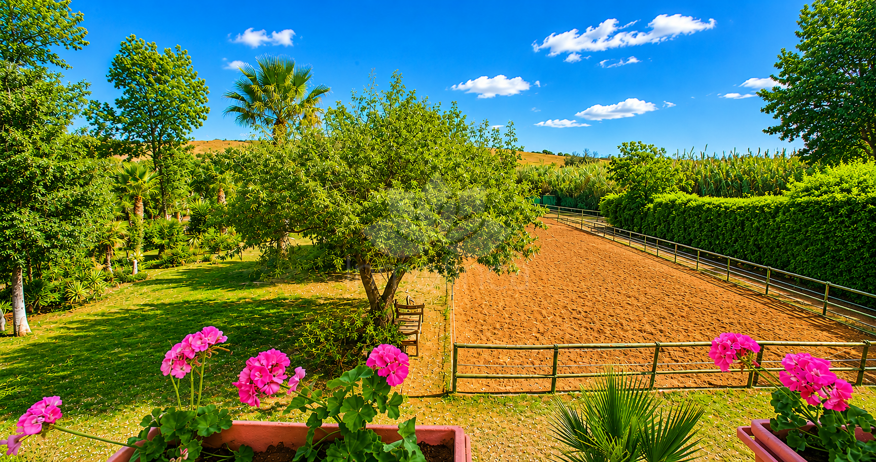 Finca in Estepona