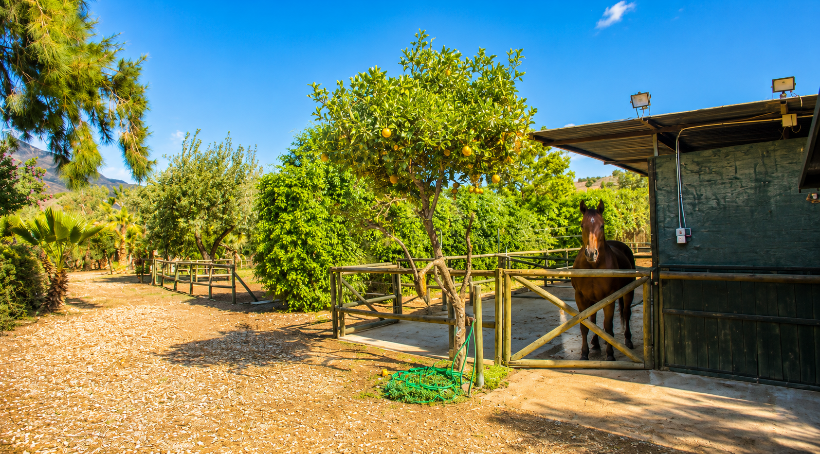 Finca in Estepona