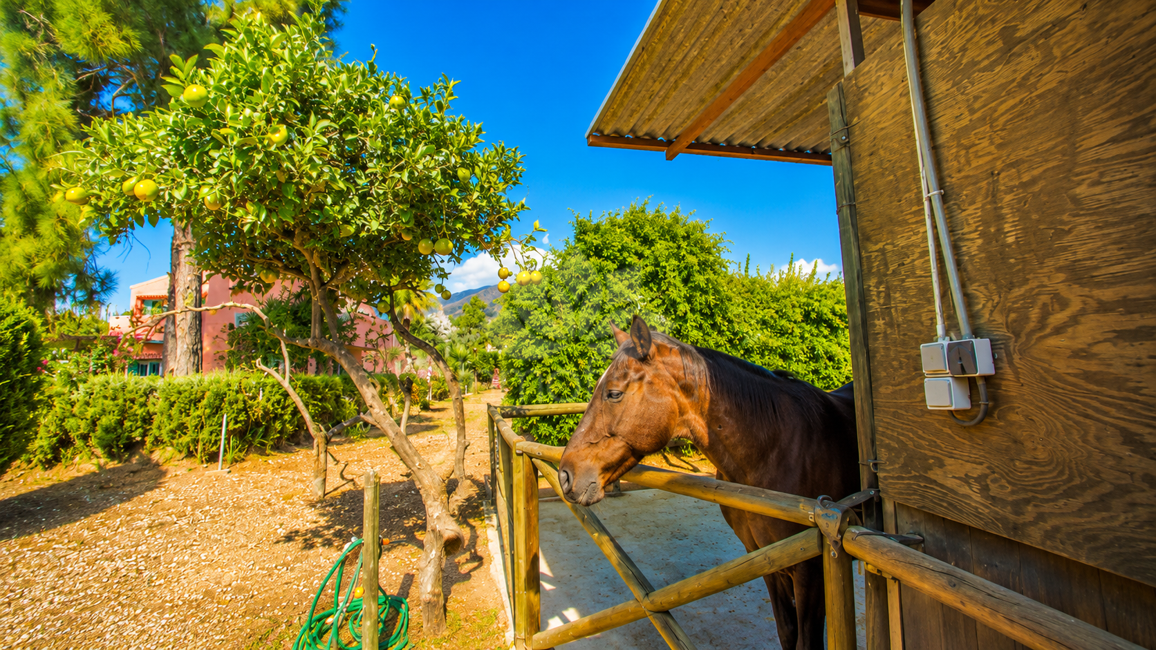 Finca in Estepona