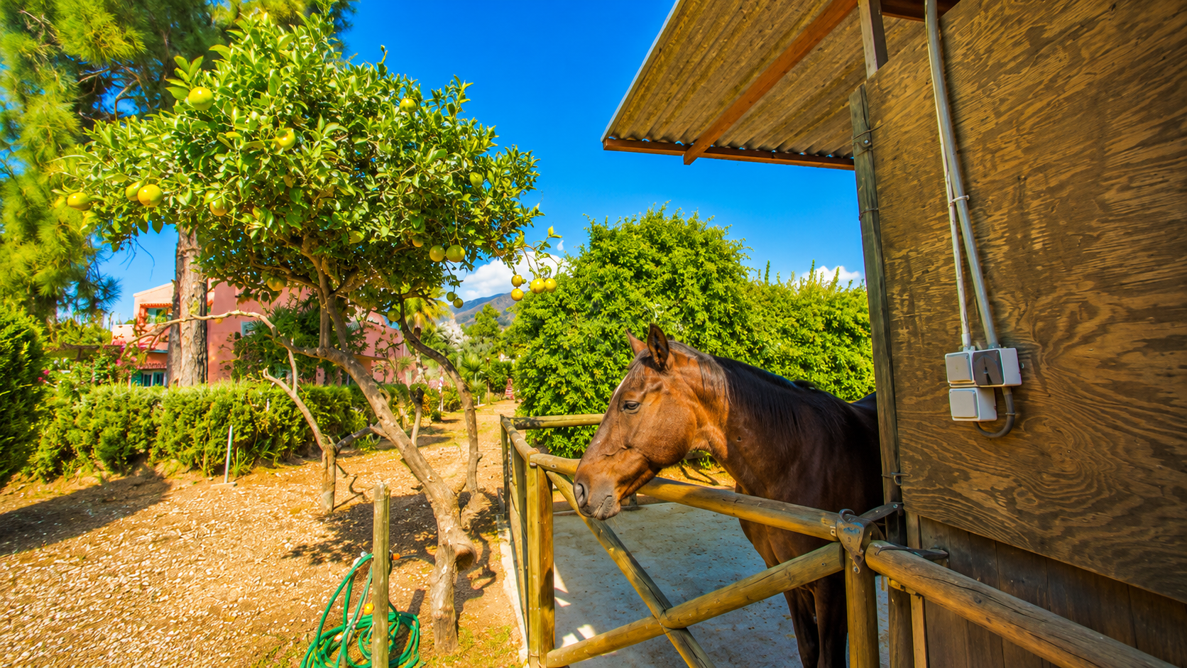 Finca in Estepona