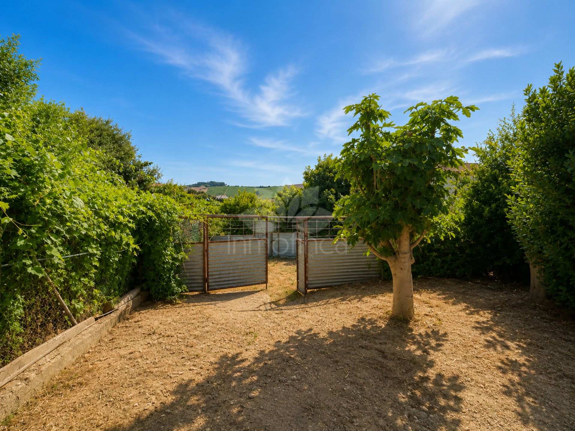 House in Manilva