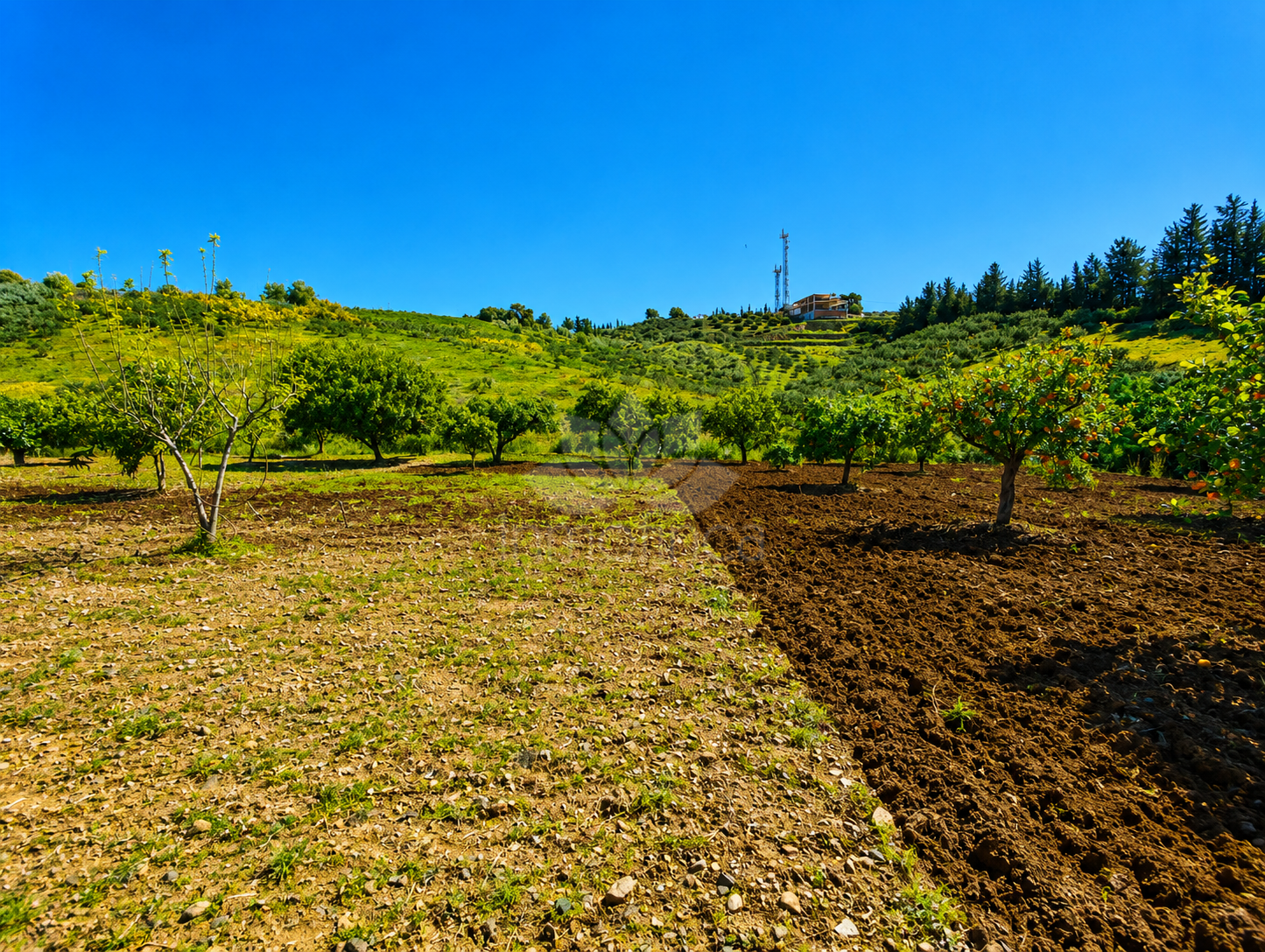 Finca in Estepona