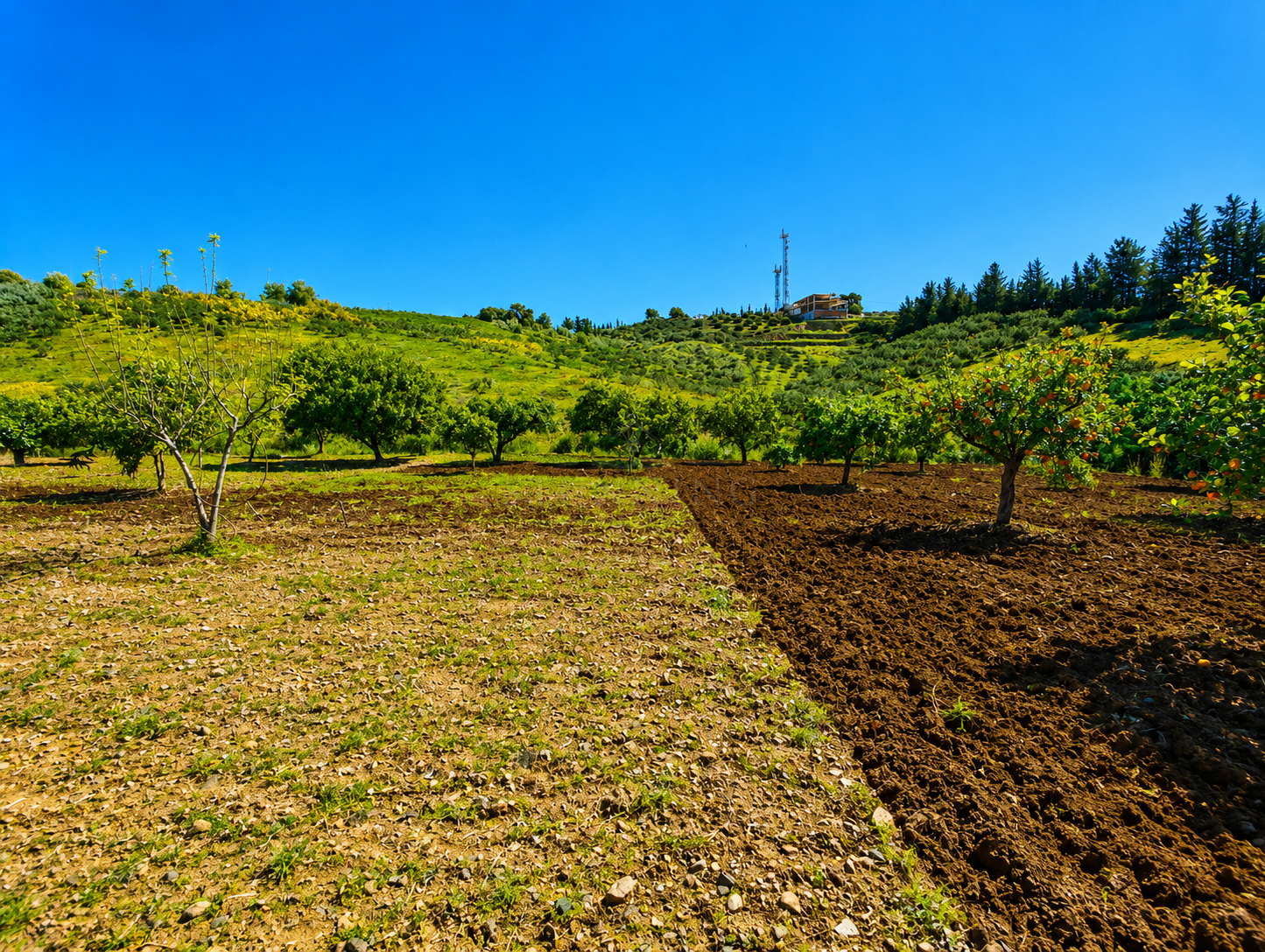 Finca en Estepona