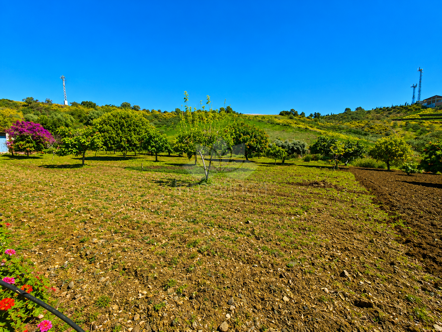 Finca in Estepona