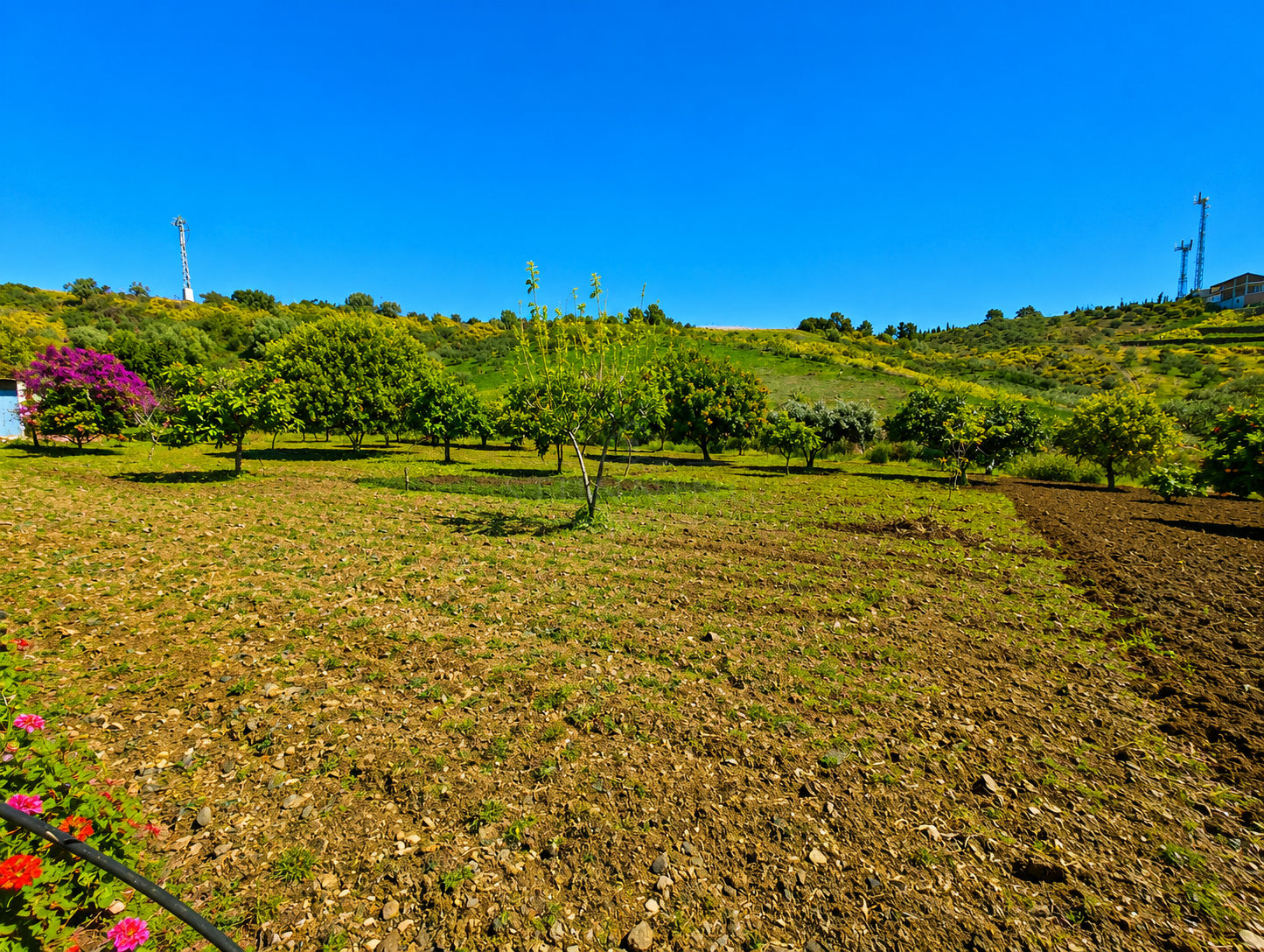 Finca en Estepona