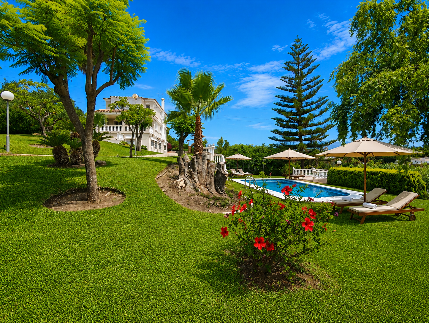 Finca in Estepona
