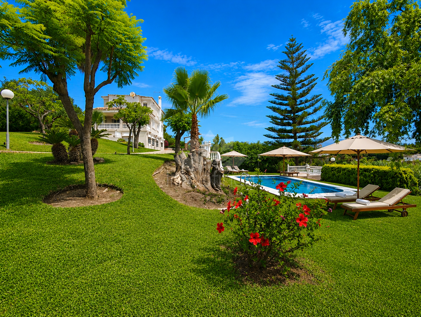 Finca in Estepona