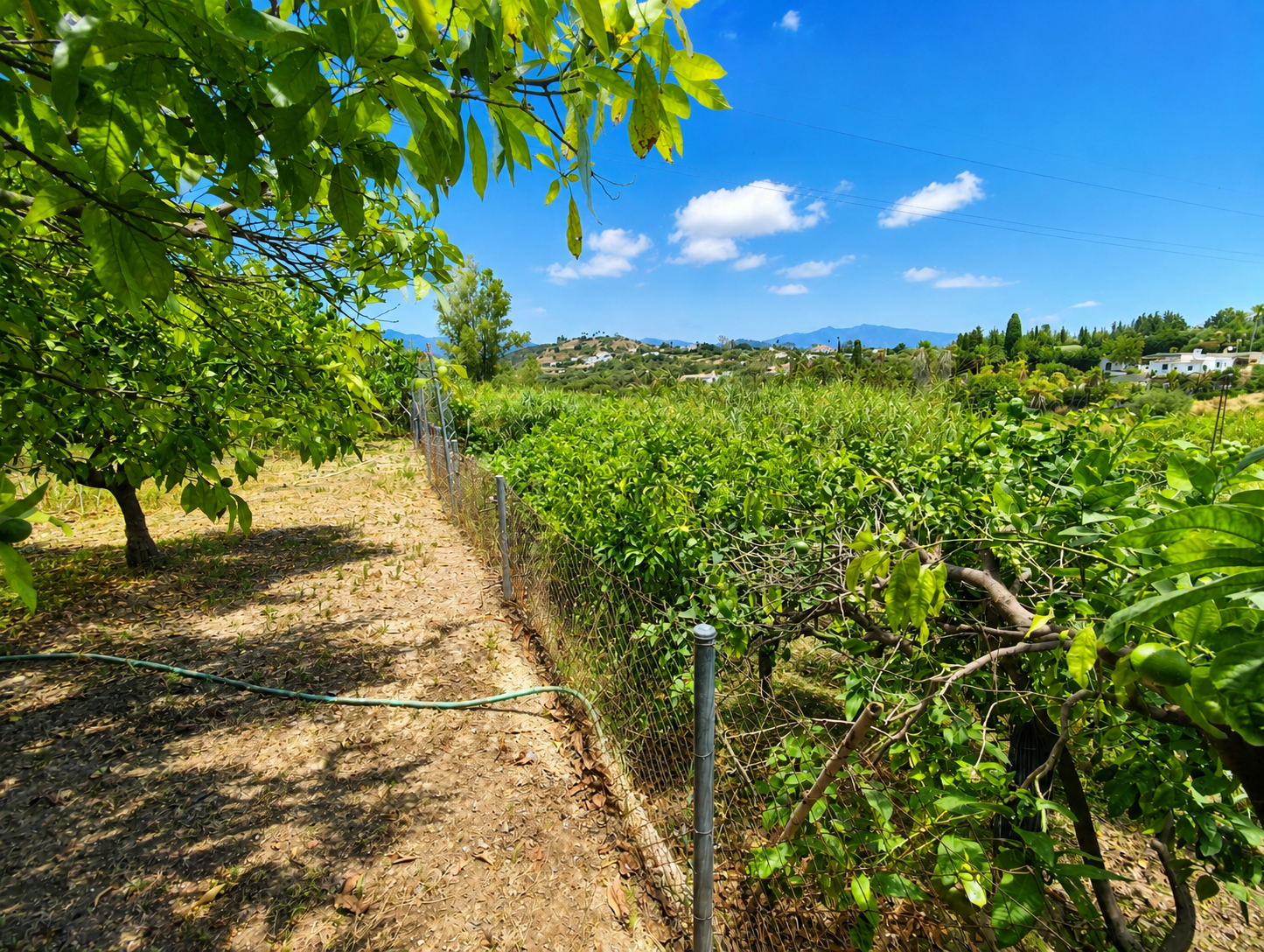 Finca in Estepona