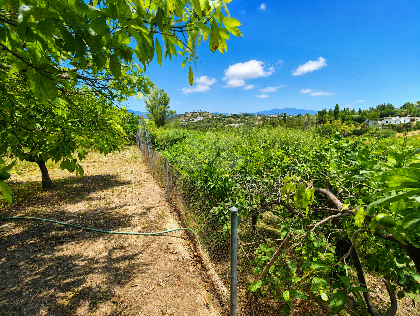 Finca in Estepona