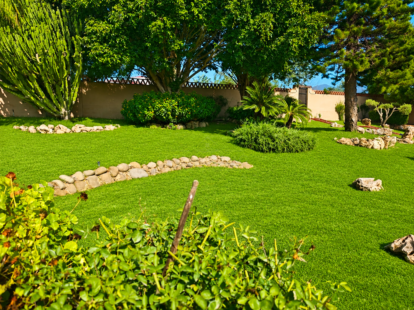 Finca in Estepona