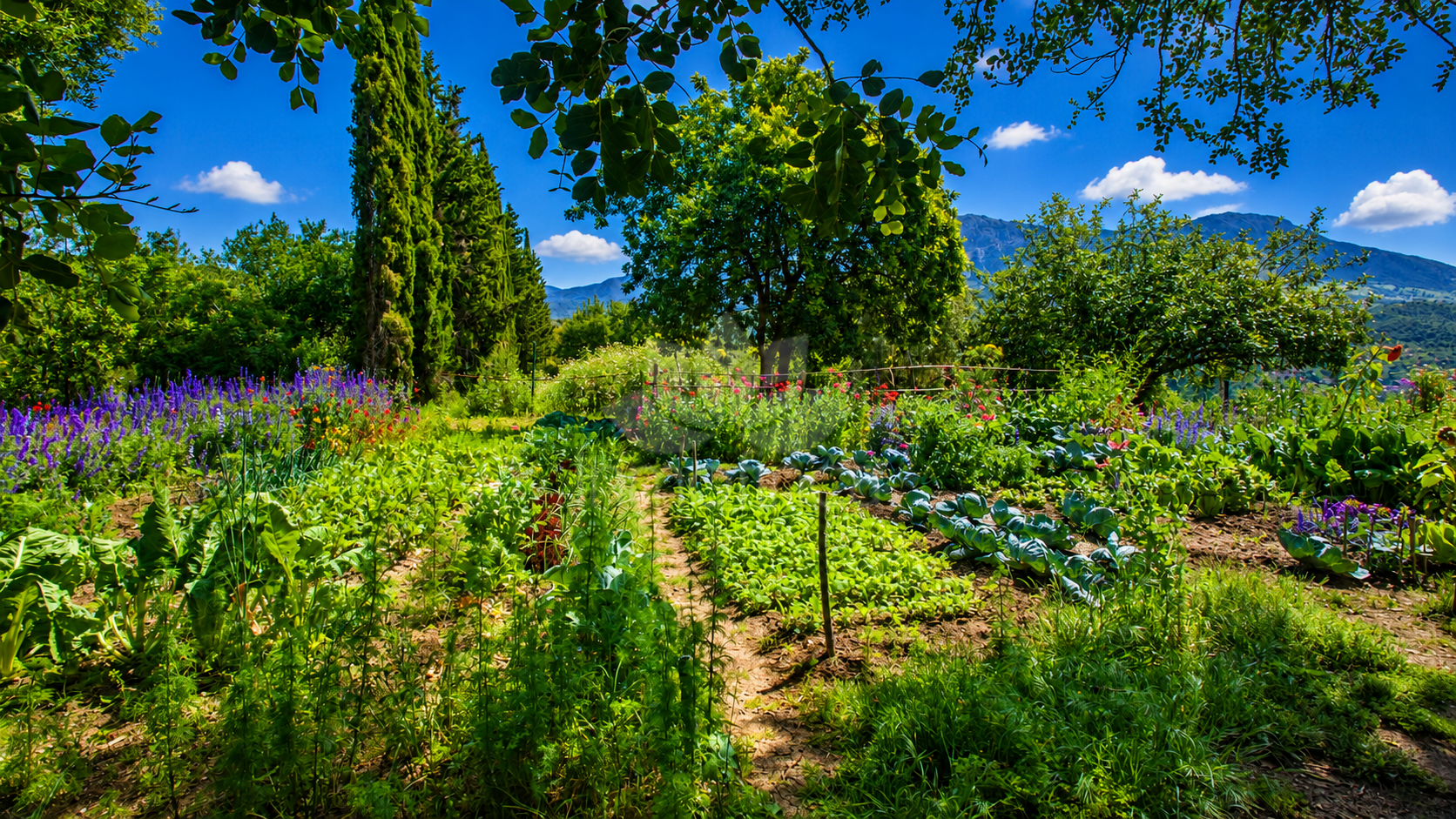 Finca in Gaucin