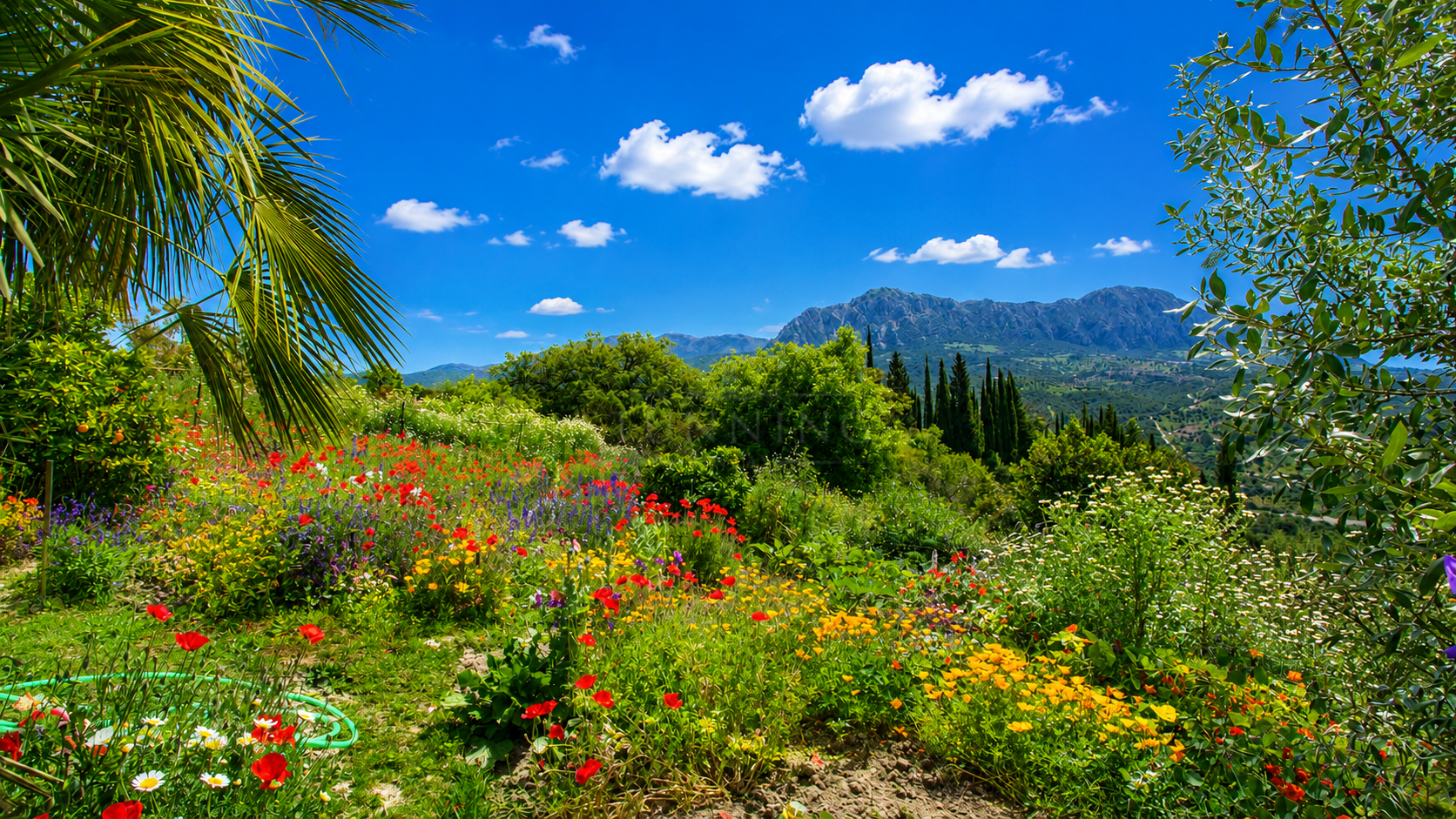 Finca en Gaucin