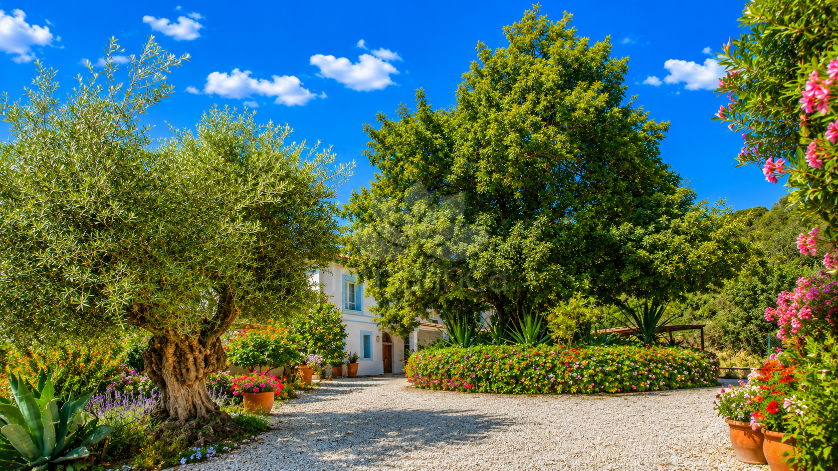 Finca in Gaucin