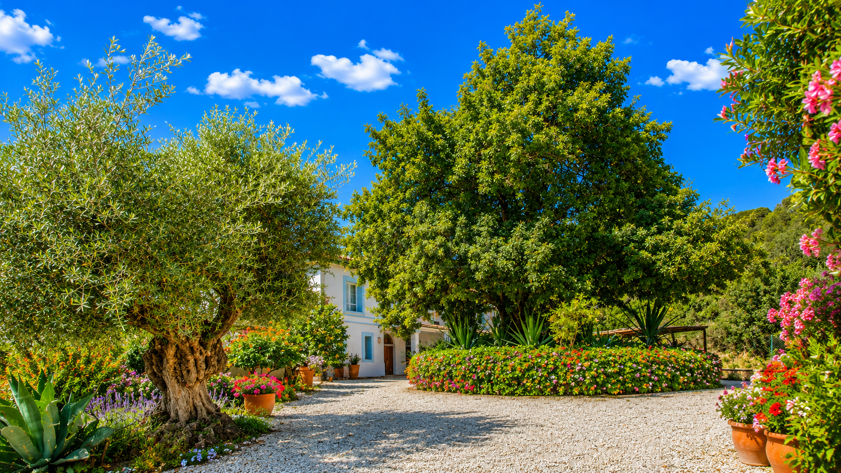 Finca en Gaucin
