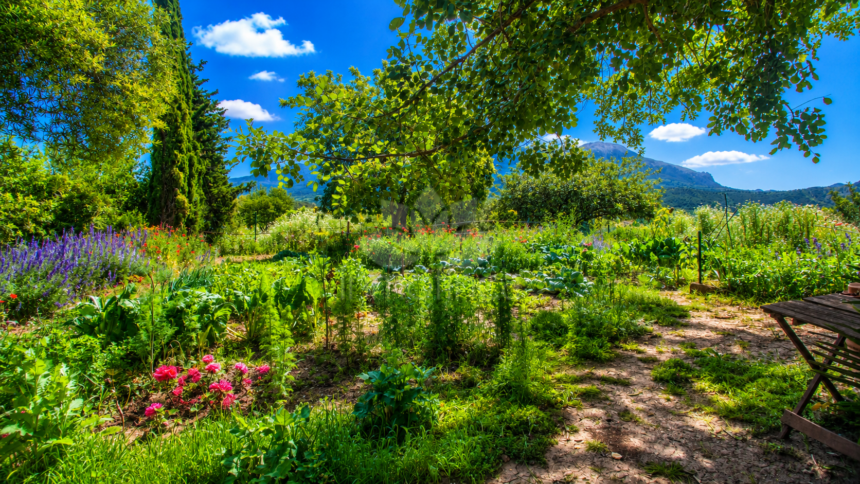 Finca in Gaucin
