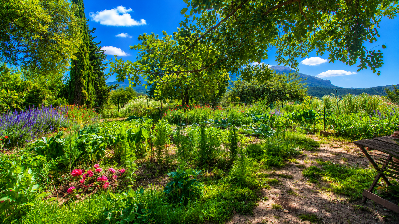 Finca en Gaucin