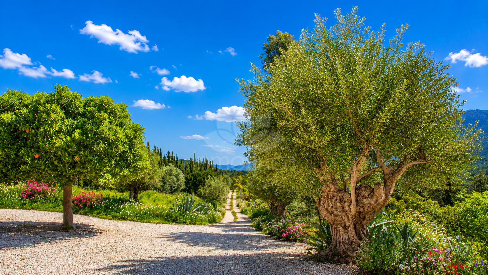 Finca in Gaucin