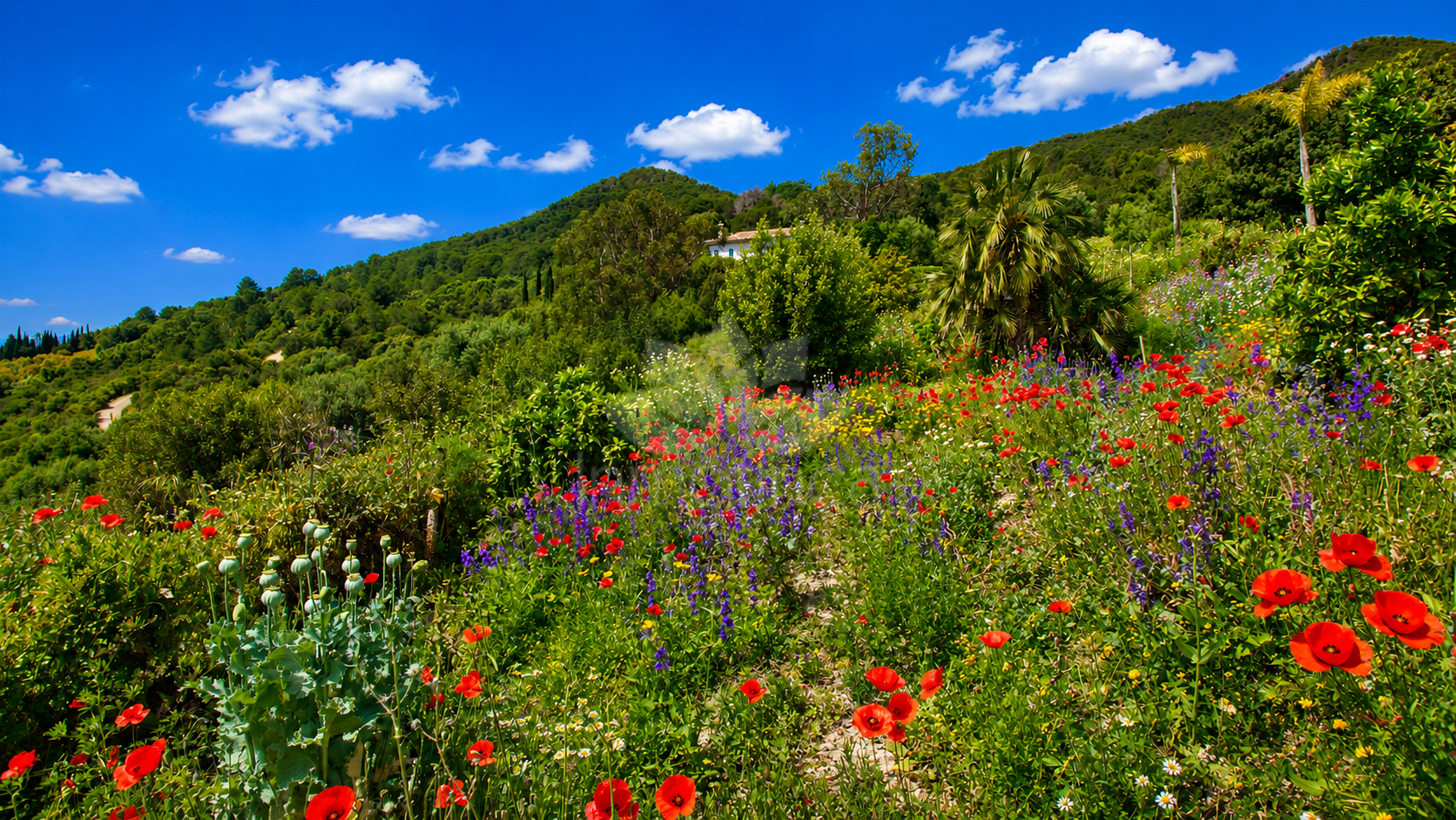 Finca in Gaucin