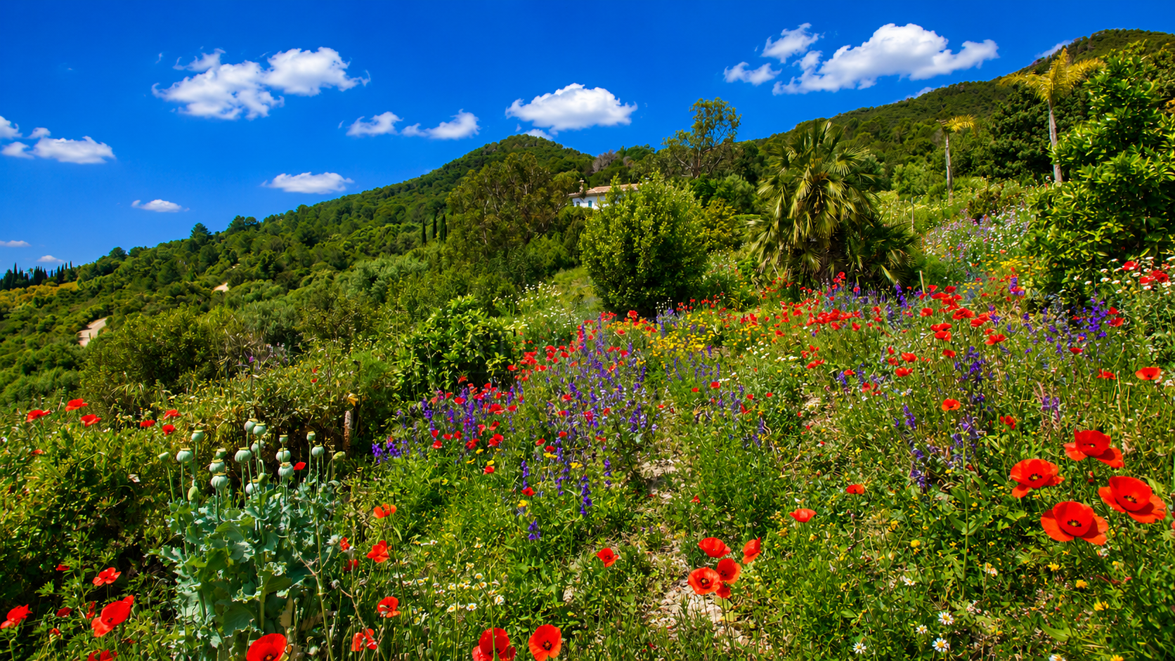 Finca en Gaucin